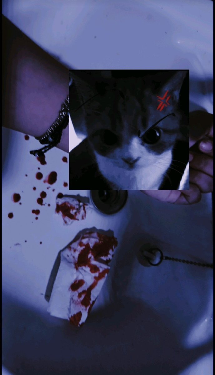 Cnocturn77's tweet photo. All Fake ≽^• ˕ • ྀི≼ fake blood ꉂꉂ(ᵔᗜᵔ◍)
#cuts #sfx #makup https://t.co/E7jESDwlHr