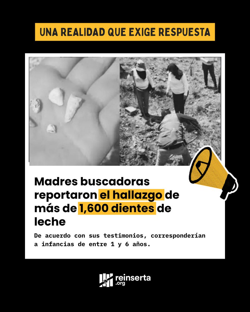 Reinserta's tweet photo. 📣Una realidad que exige respuesta. Madres buscadoras reportaron el hallazgo de más de 1,600 dientes de leche, de acuerdo con sus testimonios, corresponderían a niñas y niños. Desde Reinserta hacemos un llamado a fortalecer las acciones de prevención, protección y búsqueda. https://t.co/0JU7CigSiD