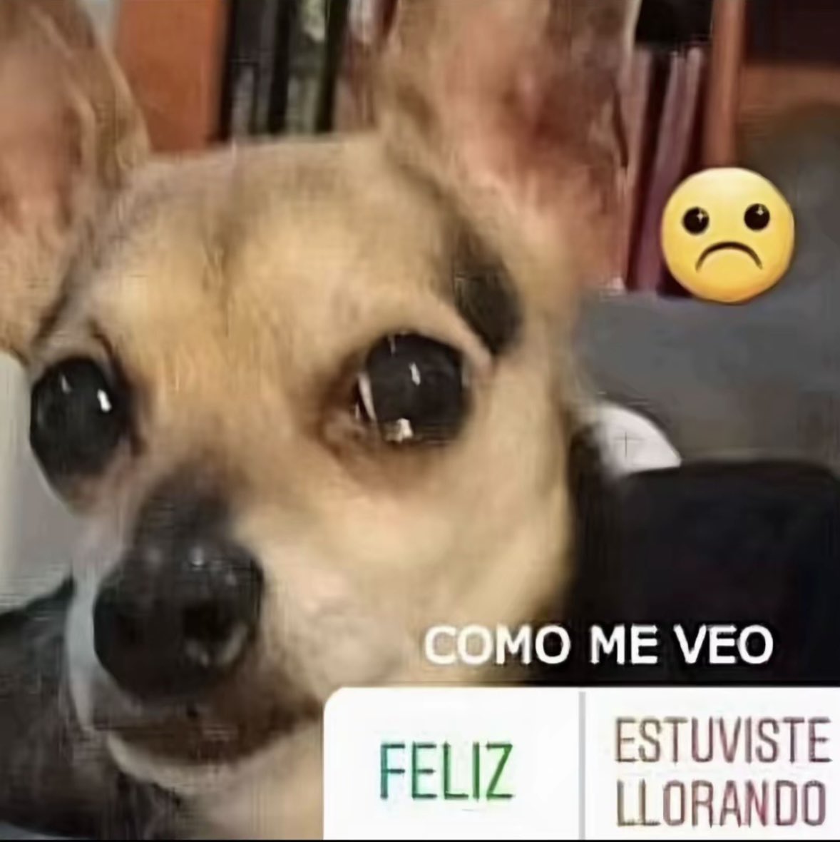 adryyuu's tweet photo. Yo con moretones y raspones y aún así me sigue doliendo más saber que no voy a escuchar otra vez su risa y sus anécdotas, que no voy a volver a ver su sonrisa y sus ojos preciosos https://t.co/GSMEoSkeRQ