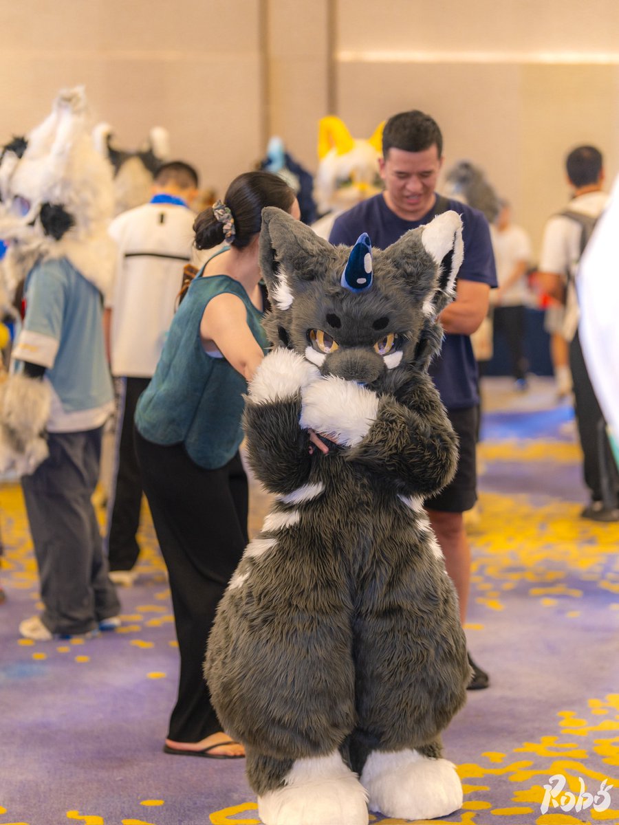 _Roborab's tweet photo. She’s dragging her mom to leave😂

#fursuit #有兽焉 https://t.co/Sy9Icvvxe1