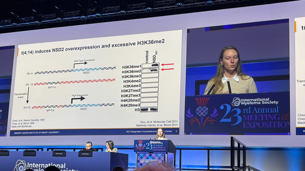 Multiple Myeloma RF (@theMMRF) — #IMS26 — conference slide