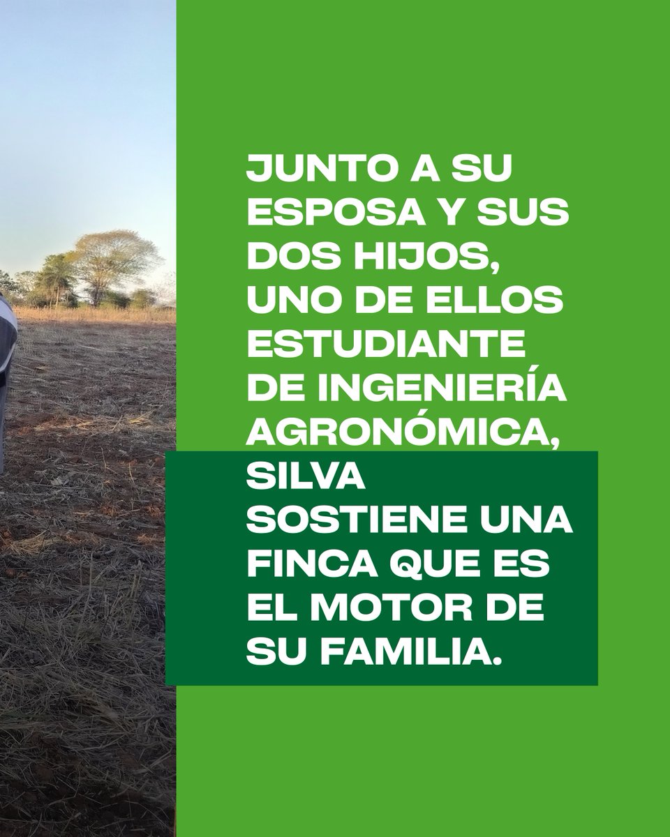 UGP_Py's tweet photo. Cuando los recursos son limitados, la creatividad encuentra nuevas formas de avanzar.
Francisco Silva, pequeño productor de Coronel Bogado, convirtió una moto en una herramienta para trabajar la tierra.

Historias que muestran el ingenio detrás de la producción nacional. https://t.co/vibDl4AIIN