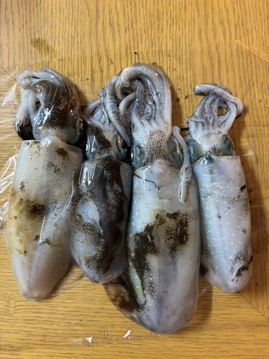 ikapon_a's tweet photo. 片道車で2時間、頑張って金曜にエギング するも、やっぱり人多杉😣　しかも前回のトンカツより少しちいちゃいし‥😆　職場の人に「アオリイカは小さいとが、うまいとよ」と、ゆーてもーたので、今回全てお持ち帰りm(_ _)m やっぱ１１月までまって、地磯の深場狙いが正解か(*´ω`*) https://t.co/g72bCunnwx