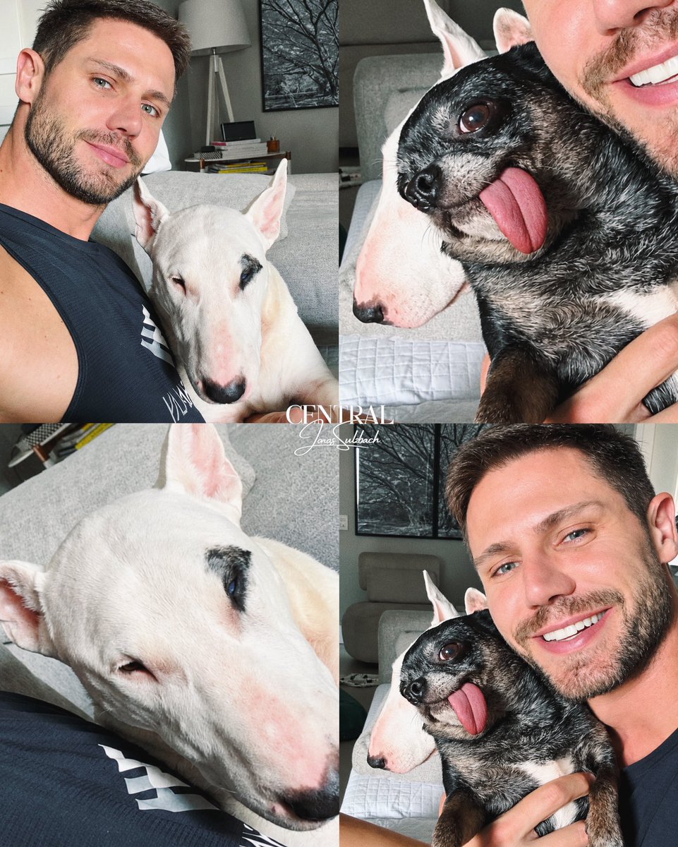 centraldojonas's tweet photo. O amor mora aqui! 🐾🥺🩵 https://t.co/z2LqBsfbhA