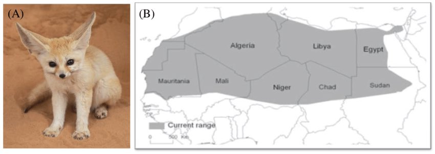 PutainCoCo's tweet photo. @koulouglistan L’Algérie est si grande que ça 🤨 https://t.co/IP543Phtet