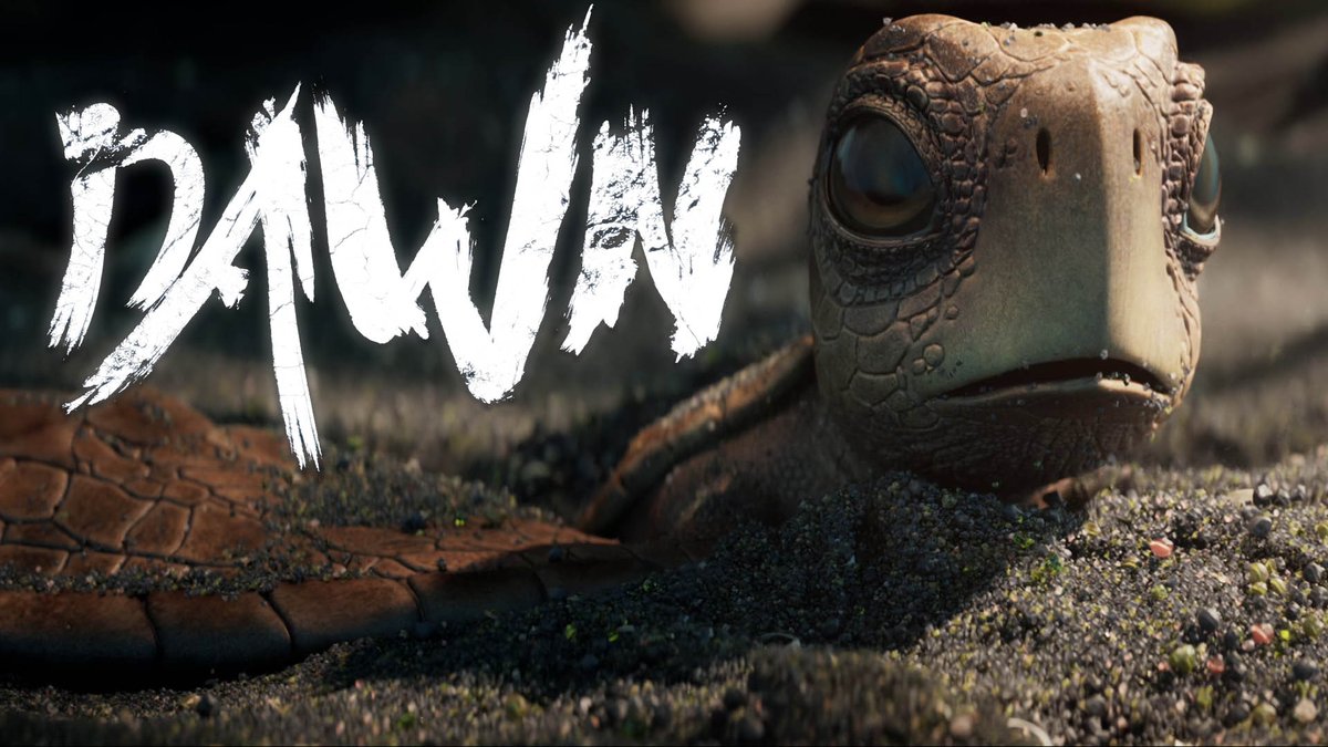 TheCGBros's tweet photo. Check out "Dawn" by the talented 2024 graduates of ESMA!🐢🌊 A baby sea turtle needs to reach the ocean, but first she must overcome the obstacles and predators in her way.  

🎬 Watch 👉https://t.co/geEiR5Qd5f

#humancrafted #Dawn #ESMA #Animation #TheCGBros https://t.co/7lJtUZOf0S