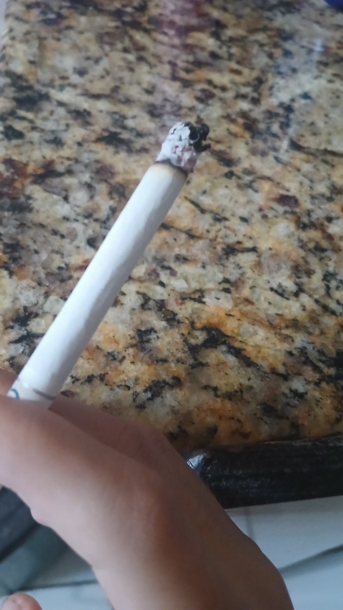 violetthaze11's tweet photo. eu depois de ter falado pra meio mundo que parei de fumar, pelo menos nao é igual era antes, fumo um ou dois por dia, logo logo vai ser nenhum https://t.co/mNIt5qV2CK