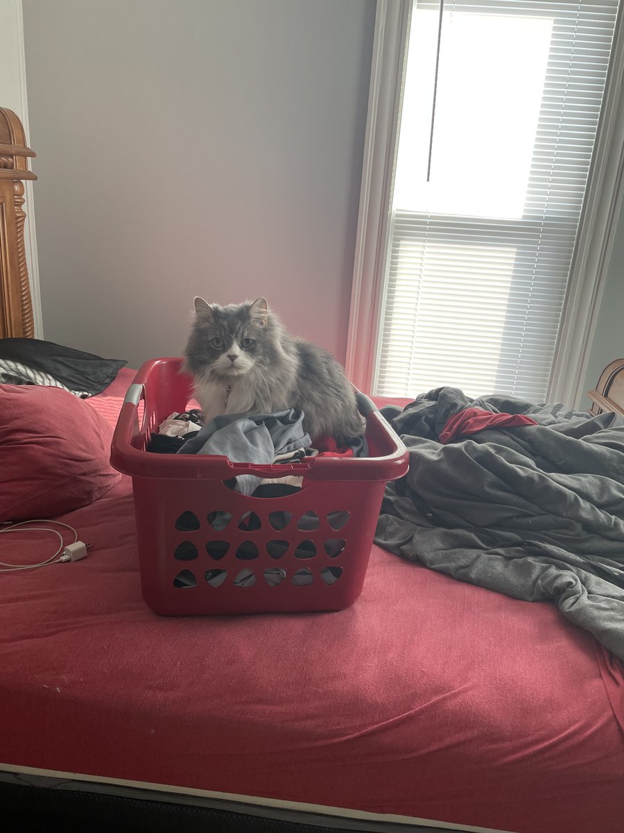 IAmKyleU's tweet photo. @MitchJonez Laundry day but we locked in! GL out there Mitch https://t.co/zRSjy9plL4
