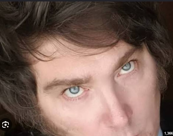 con_a_de_andrea's tweet photo. The eyes, chico. They never lie. https://t.co/lhFdl63XHO