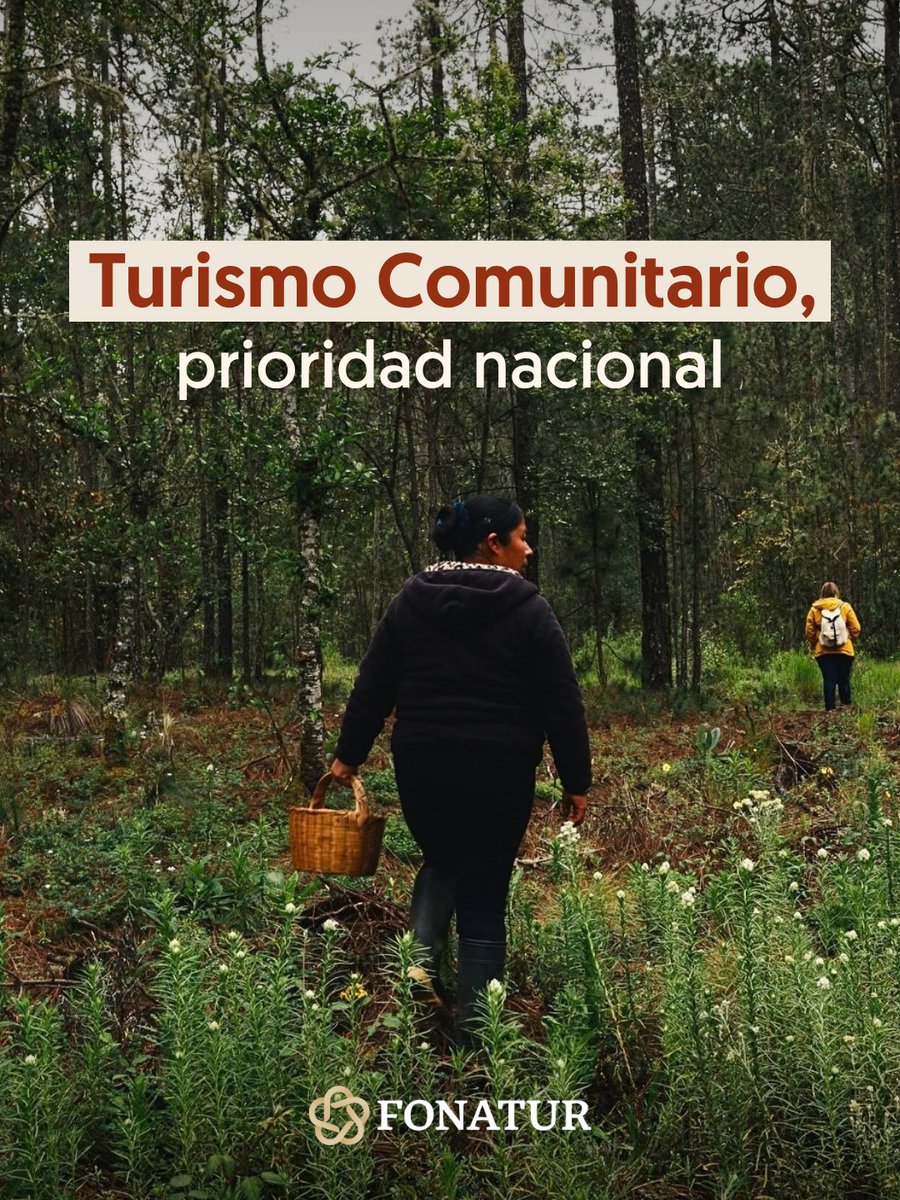 FonaturMX's tweet photo. Este año, en el Fonatur hemos impulsado el #TurismoComunitario con acciones clave: 

📃Declaratoria de Turismo Comunitario como prioridad nacional 
🌿Creación de 3 Destinos de Turismo Comunitario
🏅Entrega de Distintivos a prestadores de Turismo Comunitario https://t.co/EPKhQhVhHy