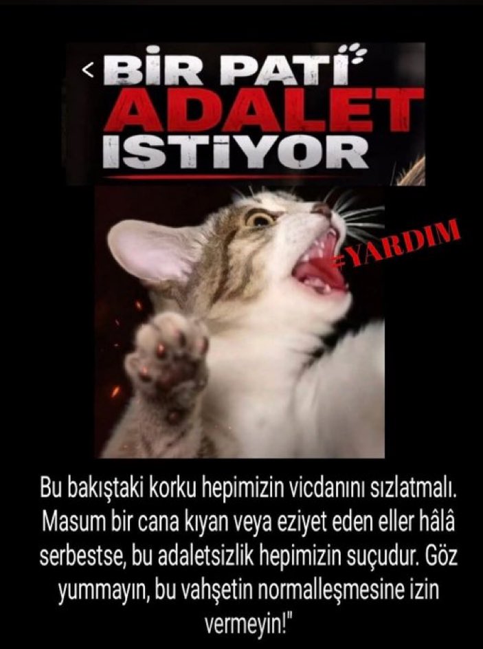 esmeraykaya's tweet photo. https://t.co/z6CjpdaWDQ
