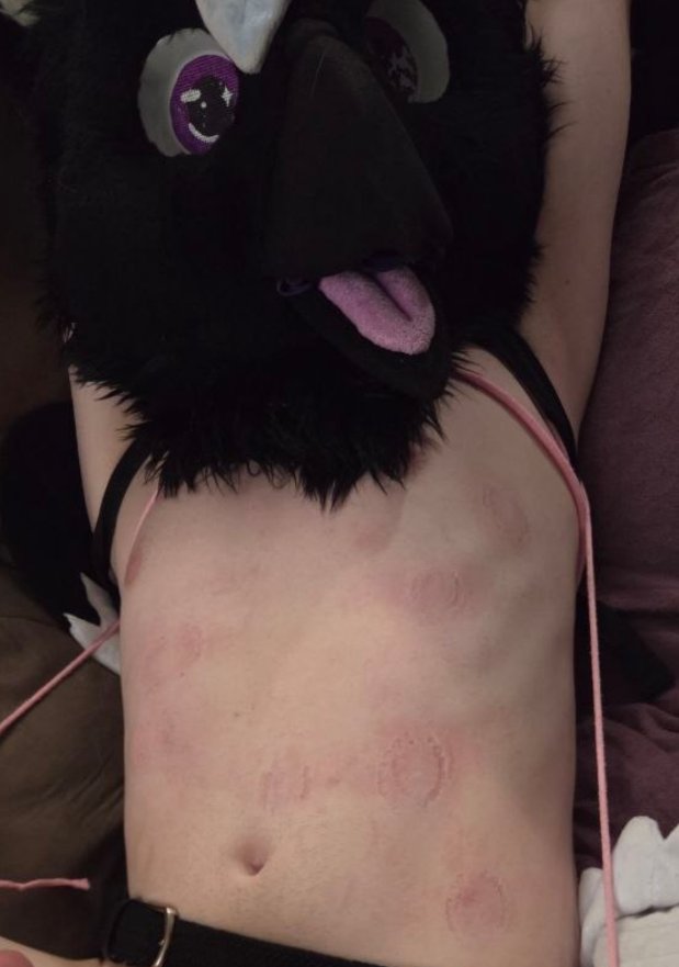 JasperZeeBirdy's tweet photo. Chew Toy potential is strong with me ✨
#mursuit #furrybird #twink #bondage :3 #bites ✨ https://t.co/RoyuDk57lP