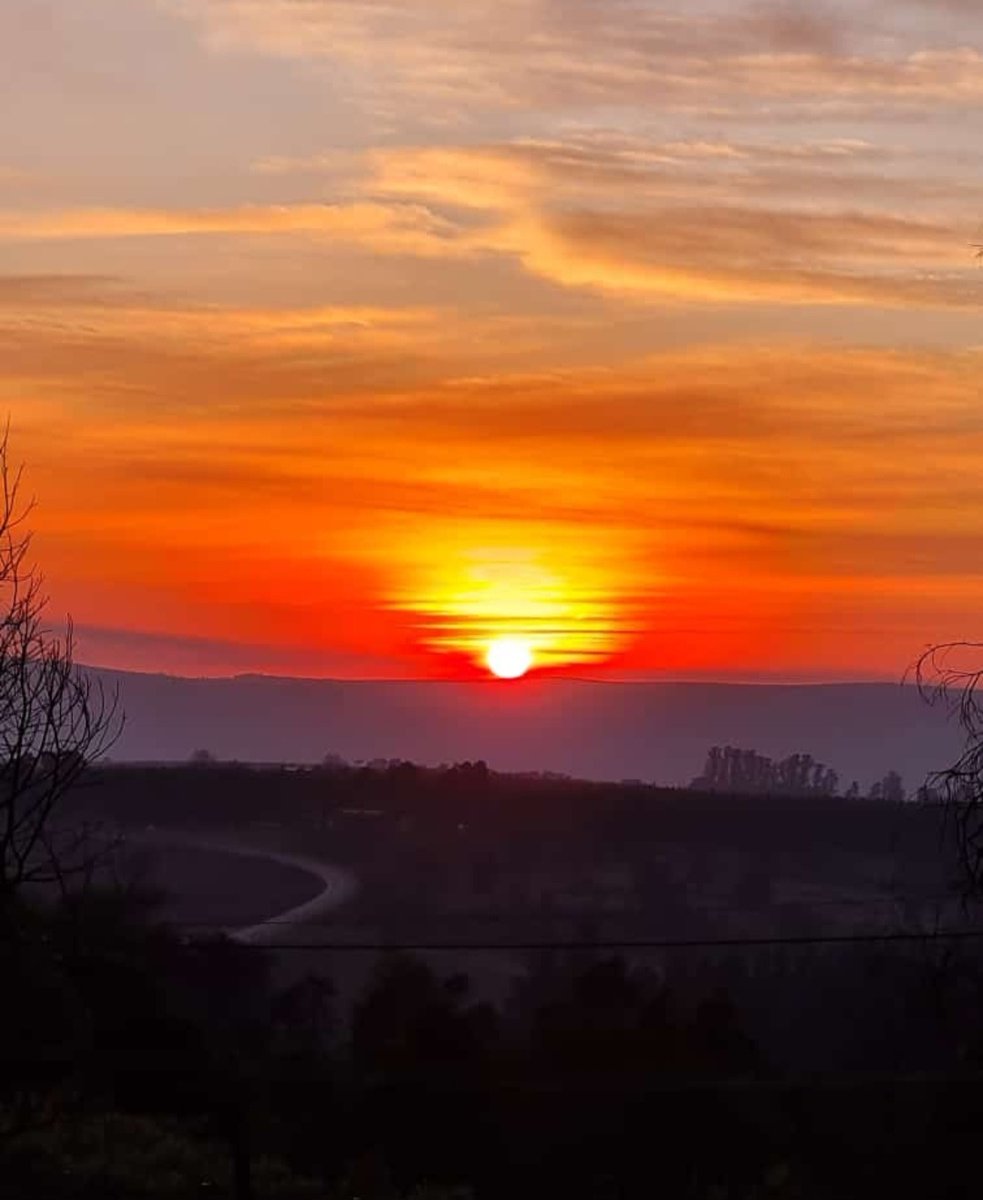 nbh0567's tweet photo. There are some people in life who are like the sun.
It's hard to explain, but their presence brightens your day and shines through the darkness, it's not just about their contagious smile...
Their being sheds light and feels like the sun, It's a calm energy, and Inner peace... https://t.co/BVQYcwhr6P