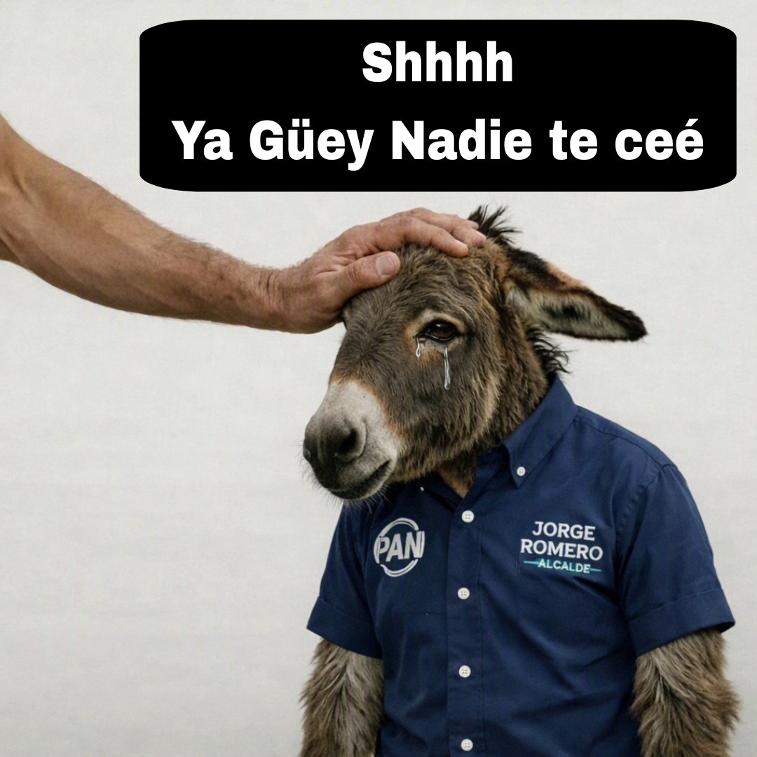 FranXxuji's tweet photo. @AccionNacional https://t.co/1LUPG1zrbt