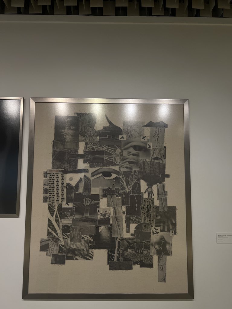 stagnationof727's tweet photo. 2025 
2026
“Fragments of Sight ,2025” photography on canvas scanned cyanotype 
by Hayat Osamah https://t.co/yVFY47nEIq