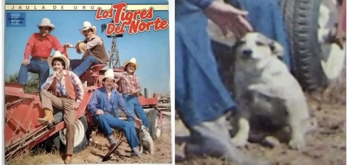 OmarGarfitoGarf's tweet photo. La mejor portada de Disco del Mundo. https://t.co/NIXwsPxVtR