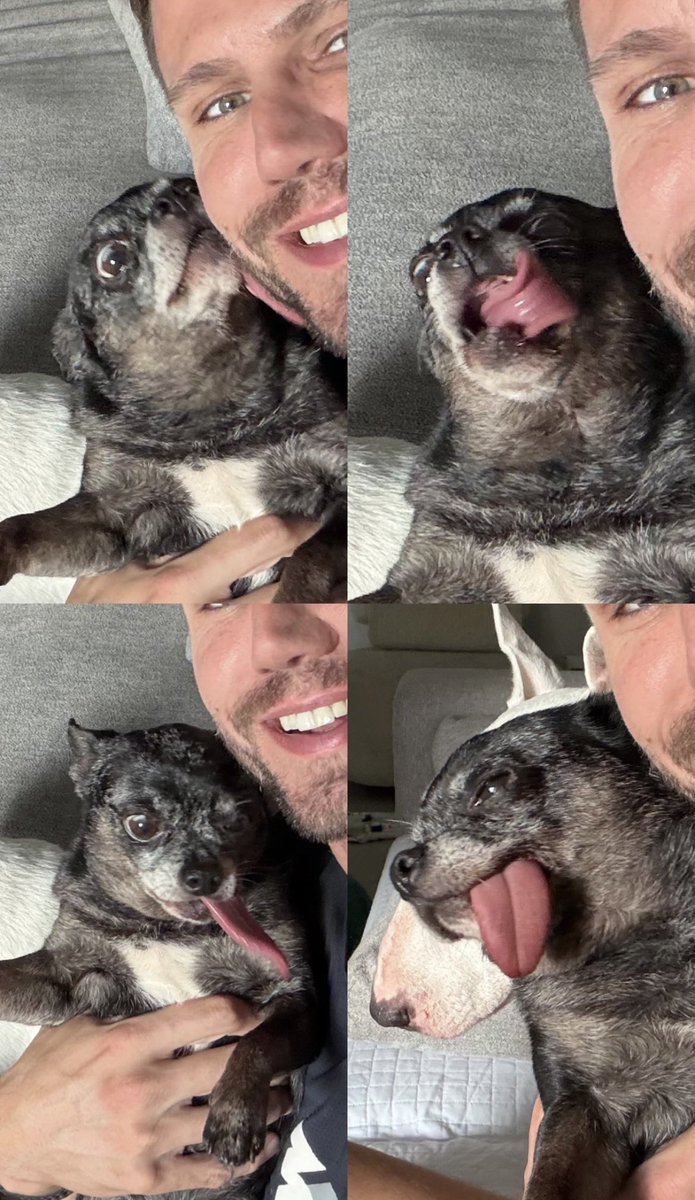 JonasHSulzbach's tweet photo. Não aguento 🤪😂 https://t.co/3DpBgr59dv