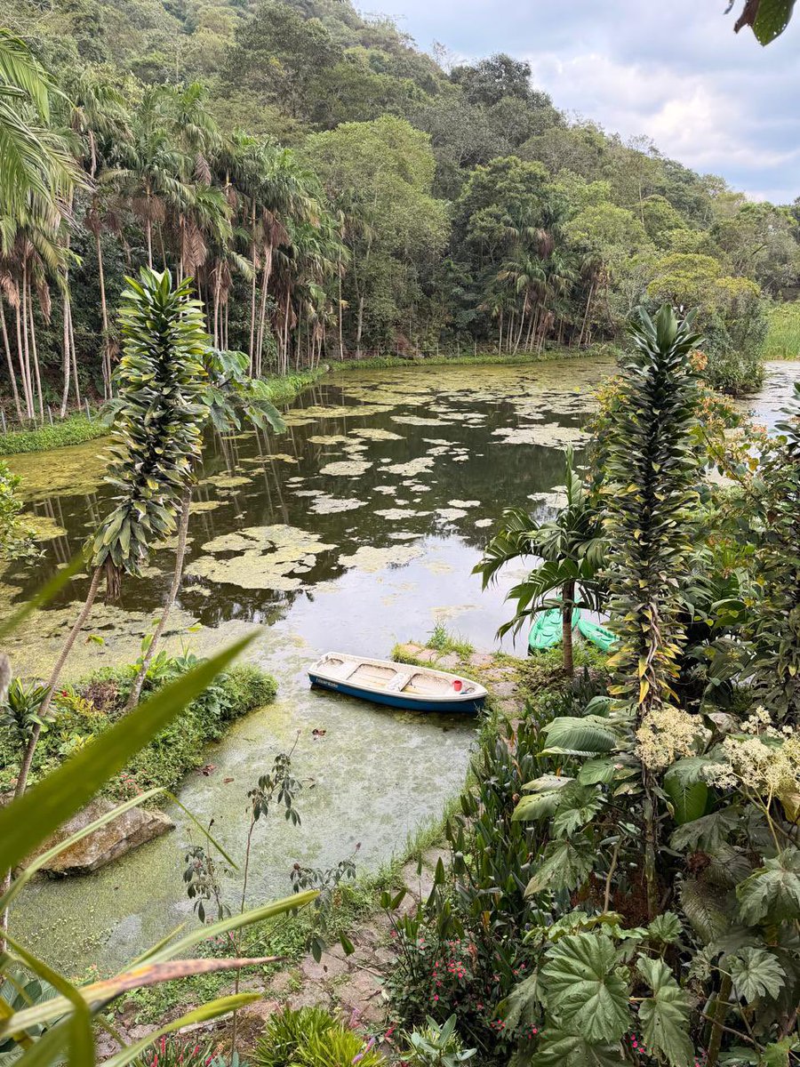 CAR_Cundi's tweet photo. 🌿 ¡Conocer nuestro territorio también es aprender a cuidarlo!

Con estudiantes y docentes de instituciones educativas de Mosquera recorrimos la Laguna Verde, en Zipacón, para conocer el trabajo de recuperación y cuidado que adelantamos, junto a la comunidad. https://t.co/1h7fqkaHQm