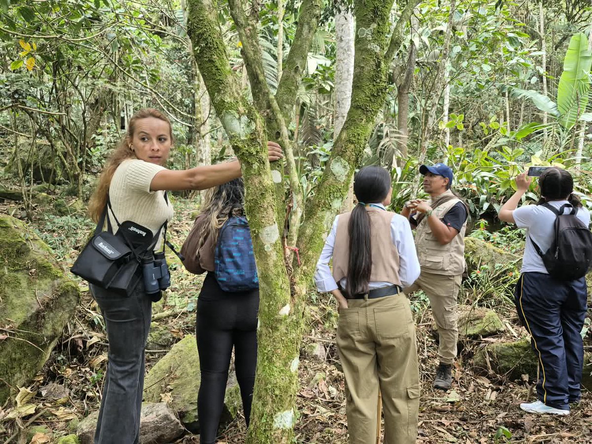 CAR_Cundi's tweet photo. 🌿 ¡Conocer nuestro territorio también es aprender a cuidarlo!

Con estudiantes y docentes de instituciones educativas de Mosquera recorrimos la Laguna Verde, en Zipacón, para conocer el trabajo de recuperación y cuidado que adelantamos, junto a la comunidad. https://t.co/1h7fqkaHQm