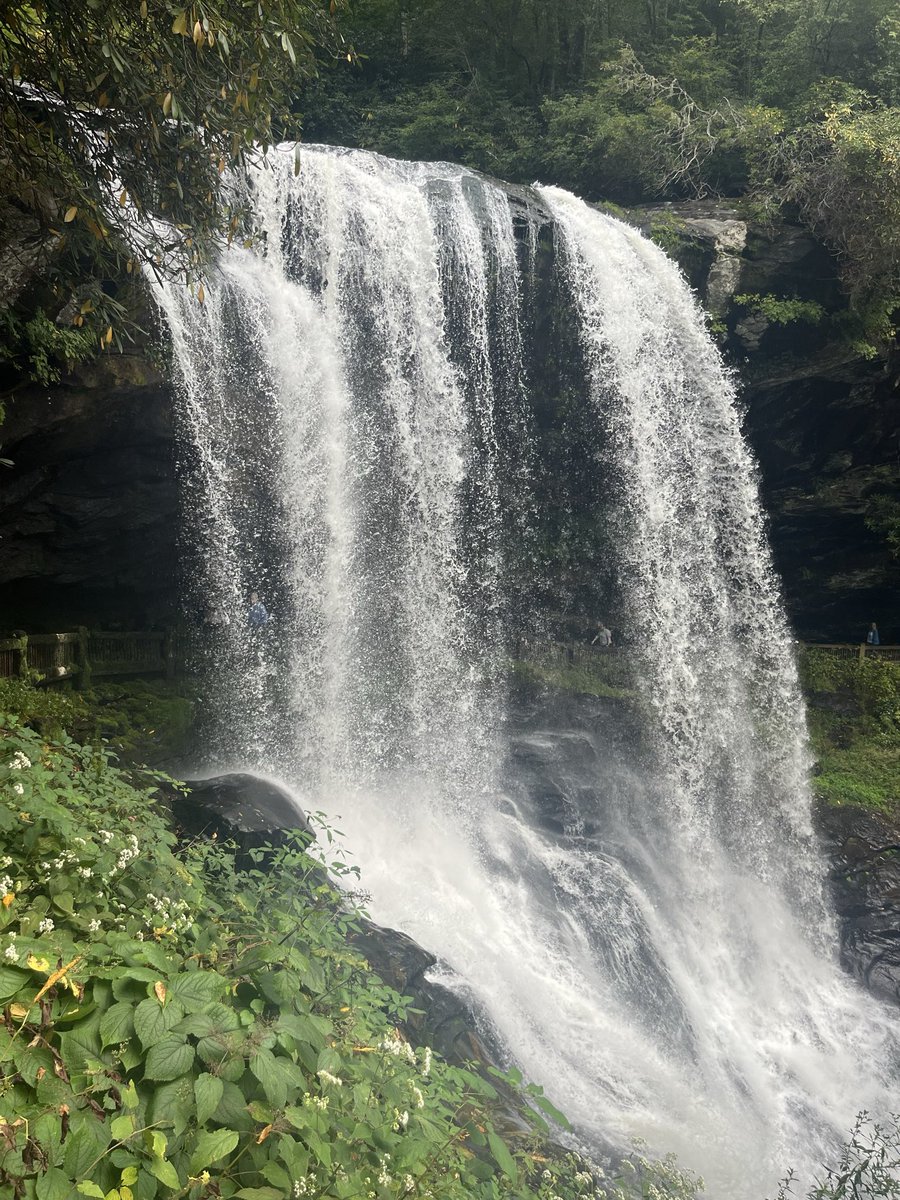 patriots7680's tweet photo. @PATRIOT2117 Seeing waterfalls while hiking in the mountains of western North Carolina. https://t.co/eUmJkXplfV