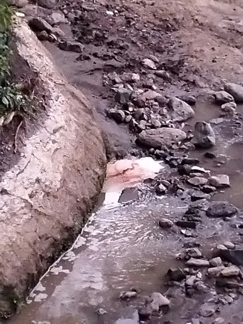 Trafico_ZMG's tweet photo. Nos comparten la siguiente denuncia: 🗣️ "En Jocotepec hacen caso omiso a la contaminación del Lago de Chapala,  a través de un arroyo donde canalizan los drenajes ponientes del municipio". 

📍El arroyo se localiza sobre las calles Zaragoza Sur y Vicente Guerrero, en el municipio de Jocotepec. La ciudadanía pide atención a este tema @GobiernoJalisco 

#DenunciaZMG