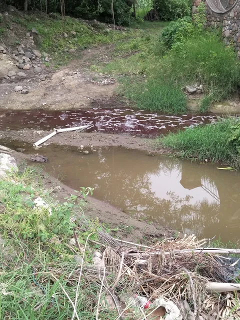 Trafico_ZMG's tweet photo. Nos comparten la siguiente denuncia: 🗣️ "En Jocotepec hacen caso omiso a la contaminación del Lago de Chapala,  a través de un arroyo donde canalizan los drenajes ponientes del municipio". 

📍El arroyo se localiza sobre las calles Zaragoza Sur y Vicente Guerrero, en el municipio de Jocotepec. La ciudadanía pide atención a este tema @GobiernoJalisco 

#DenunciaZMG