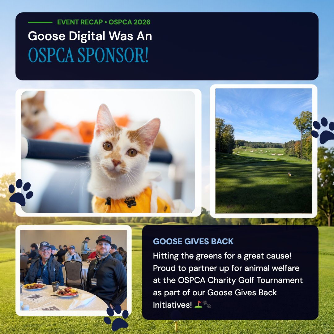 GooseDigital's tweet photo. On Tuesday, our team joined the @OntarioSPCA for their Paws &amp; Putts tournament.

Being there on the ground is a highlight for us, helping raise $129K to fund vital animal care alongside our partners at
@ComdaPromo &amp; TruPoint.

Read more: https://t.co/Qe9XamSOss

#OSPCA https://t.co/jWoTvOGkmd