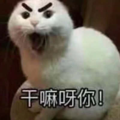 Pikkoooooo_o's tweet photo. #NewProfilePic (新個人資料照片) https://t.co/jIwd0suKIx