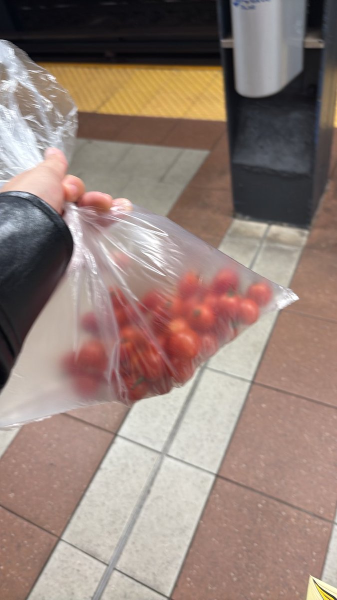 _meebeeb_'s tweet photo. @comingupizz i bought cherry tomatoes at union square https://t.co/ng2oBmAsB3