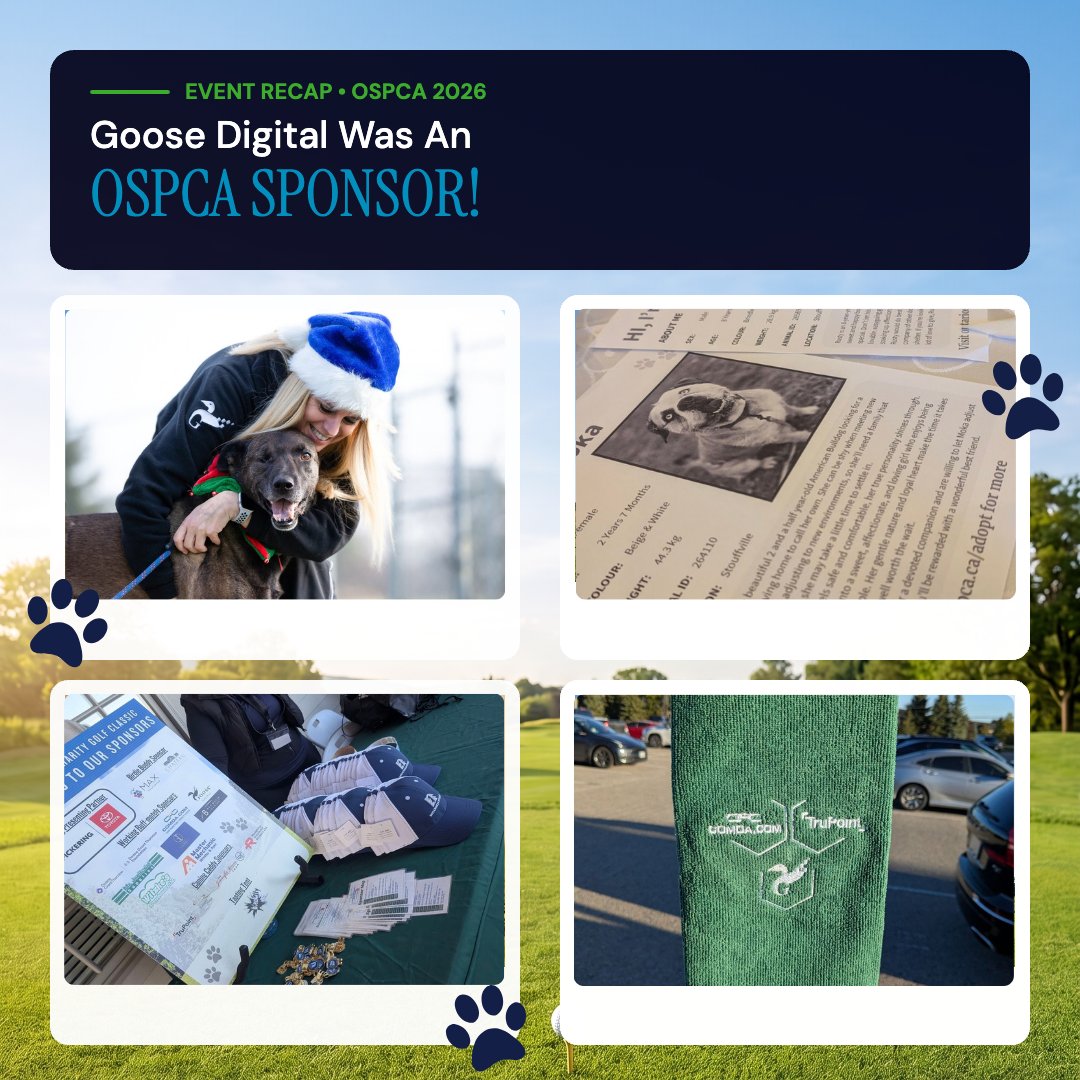 GooseDigital's tweet photo. On Tuesday, our team joined the @OntarioSPCA for their Paws &amp; Putts tournament.

Being there on the ground is a highlight for us, helping raise $129K to fund vital animal care alongside our partners at
@ComdaPromo &amp; TruPoint.

Read more: https://t.co/Qe9XamSOss

#OSPCA https://t.co/jWoTvOGkmd