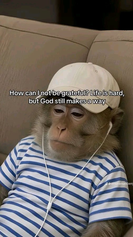 iamtonalex's tweet photo. Not ezzy, but God is faithful 🙏 https://t.co/Xf5i6LOOPy