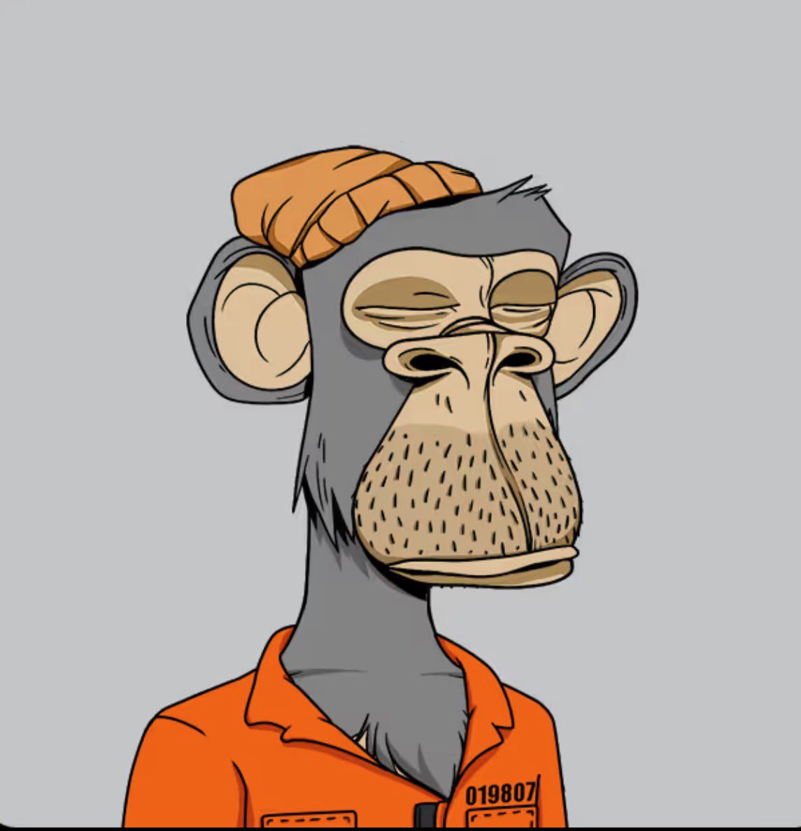 AdamWeitsman's tweet photo. This Ape has and will ALWAYS be to me the prize of my entire collection and maybe the most loved thing I own bar none. It was my first big purchase years back and means S0 much to me. 🍊 has always been my fav color and the prison jump suit was a reminder of when I was locked up by the Feds years ago. Today I’m giving it as a gift to @0xquit for basically saving the space for all of us last night. I was lucky to not get drained but many of my friends did. His selflessness and generosity is what I inspire to be. When I get home from work will transfer my orange  🧡 to him. It’s definetly going to the absolute best of humans …. I know my ape will now be in the home where he belongs 🙏