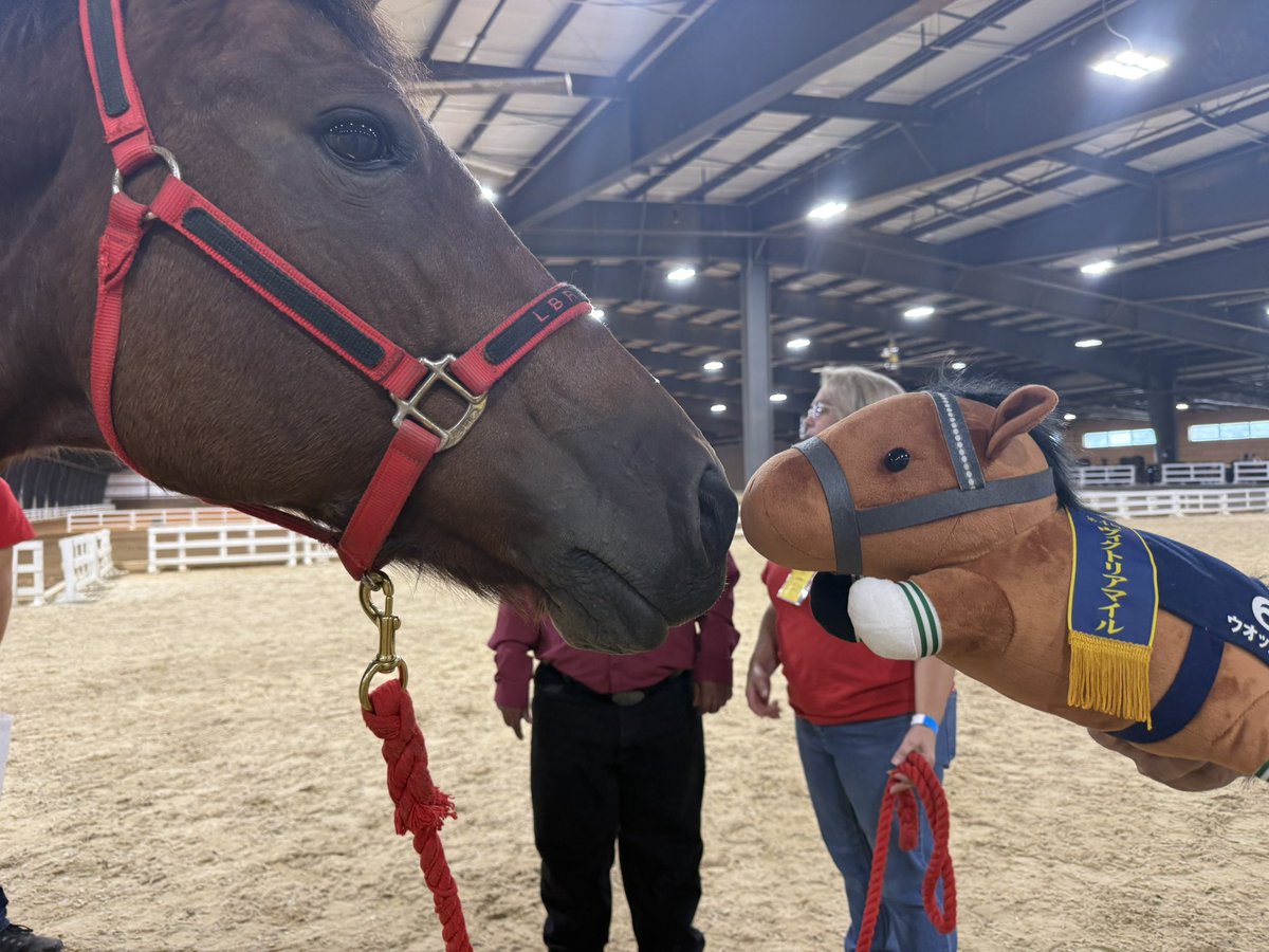 NathanTheCaller's tweet photo. Little Vodka is making new friends at the horse show. Her newest friend is named “Tater.” #vodka #jra #umamusumeㅤ https://t.co/xK885LyHkS
