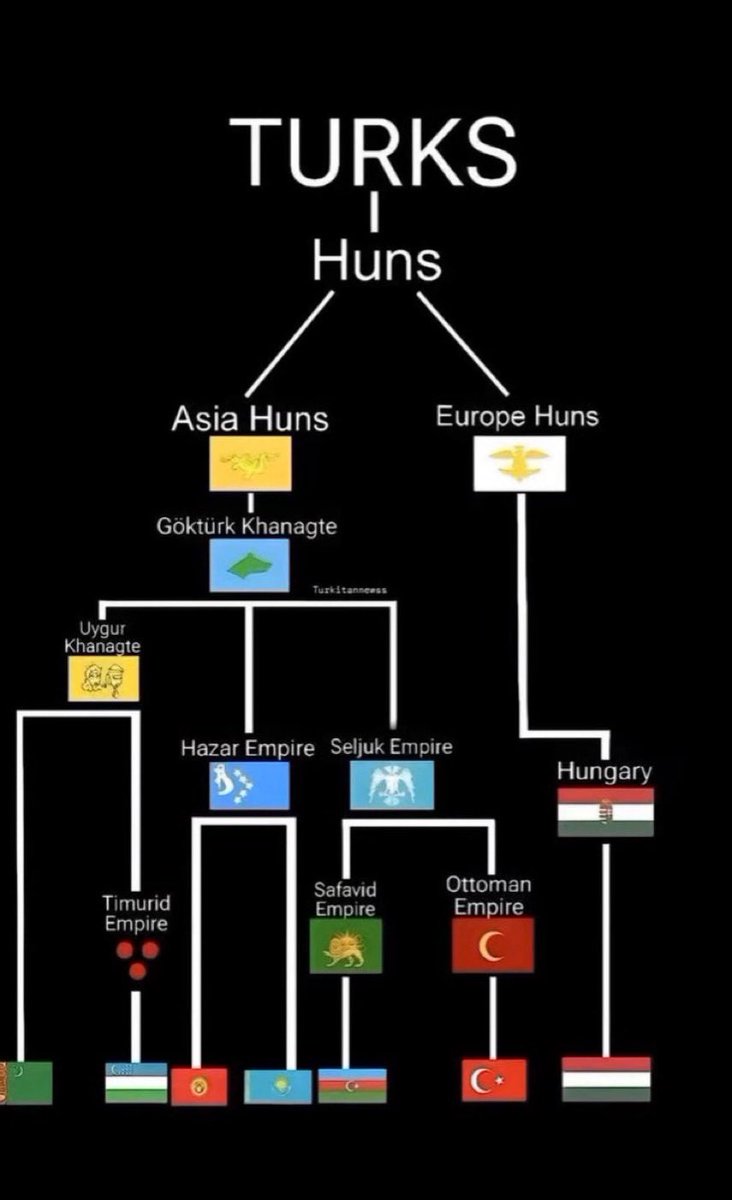 UpdatingOnRome's tweet photo. A Turk sent me this https://t.co/TMPTRbmNsA