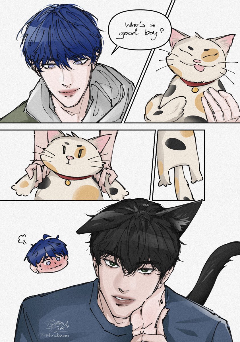 ttxchxnn's tweet photo. 🐈‍⬛ #깜돌 #kkamdol https://t.co/LXVGwaeG13