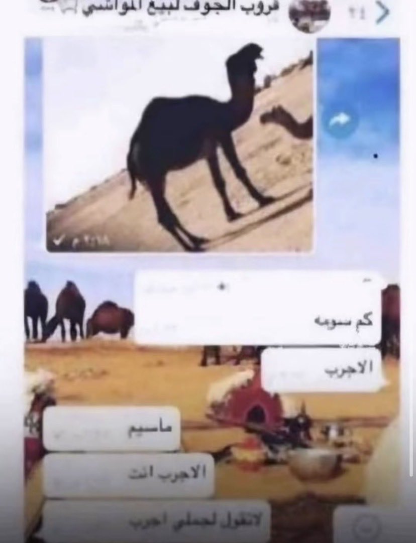 uuinn0's tweet photo. اول من طبق القواعد https://t.co/yNOPzI8ccm