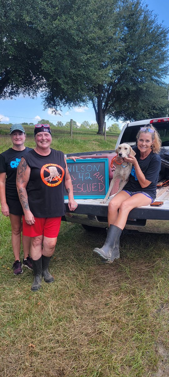LaizShar's tweet photo. #ThrowbackThursdays Last week friends on @RescueCoop posted info on the place Ruthie #FoxhoundPrincess was found. I have only these 3 pics of rescuers who spent many days carrying the dogs out of there & across the street. Their sweet Southern voices were so soothing. https://t.co/HyTJOd7htn