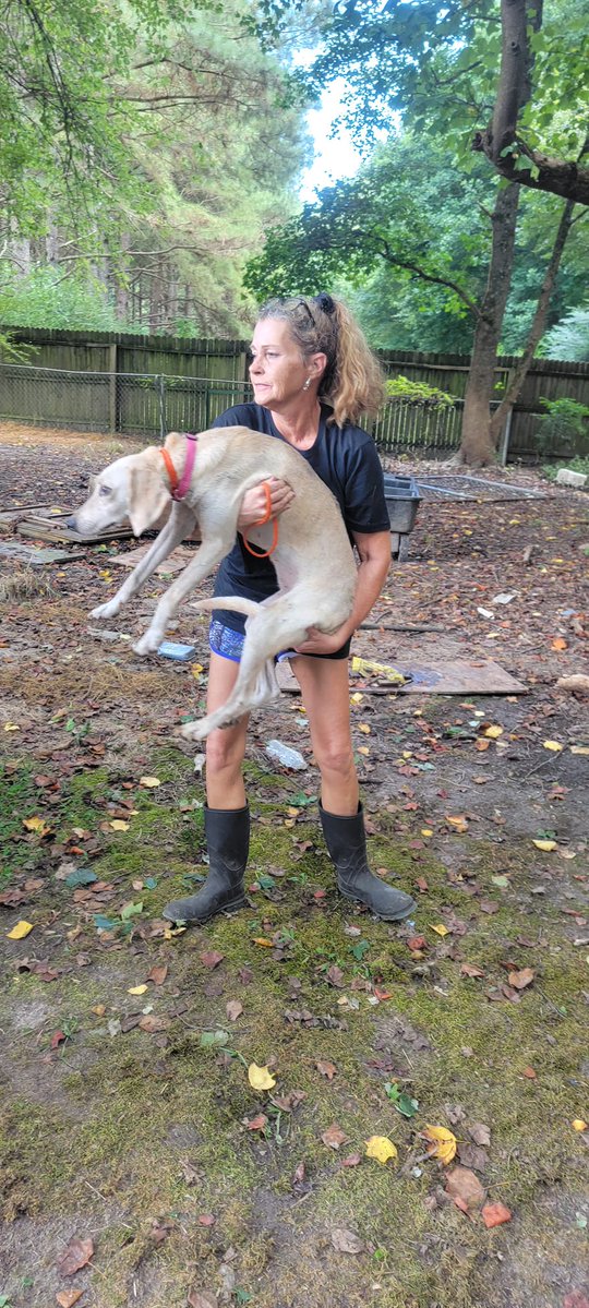 LaizShar's tweet photo. #ThrowbackThursdays Last week friends on @RescueCoop posted info on the place Ruthie #FoxhoundPrincess was found. I have only these 3 pics of rescuers who spent many days carrying the dogs out of there & across the street. Their sweet Southern voices were so soothing. https://t.co/HyTJOd7htn