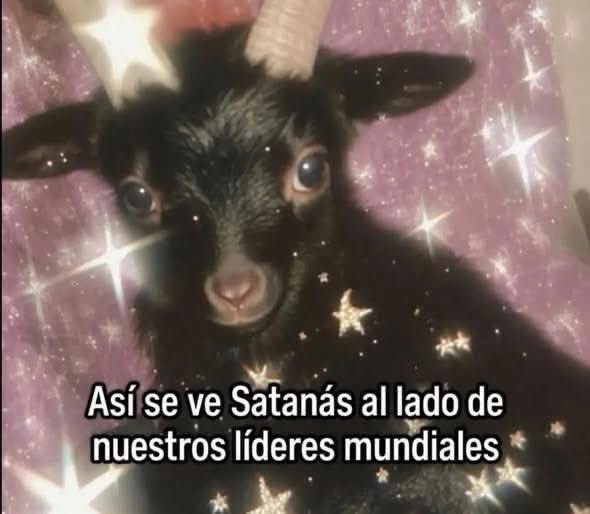 nacional_memes's tweet photo. 🐷 https://t.co/xCgZivY3tX