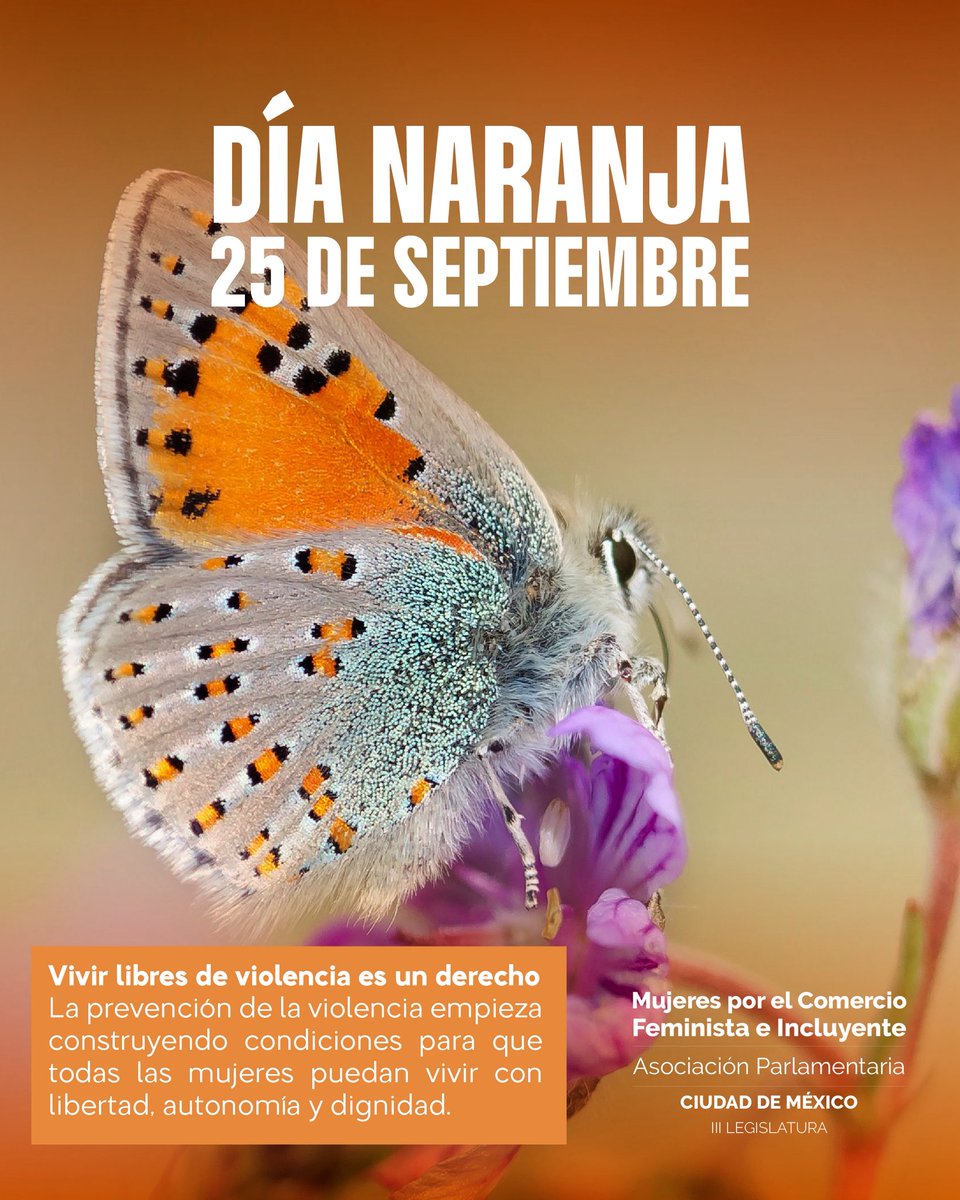 apmcfi_cdmx's tweet photo. Este Día Naranja, hablemos de algo más que prevenir la violencia: hablemos de construir condiciones para que las mujeres puedan decidir sobre su vida, ocupar todos los espacios, participar, crear, trabajar y vivir con autonomía y dignidad. https://t.co/BiUKPkYqYI