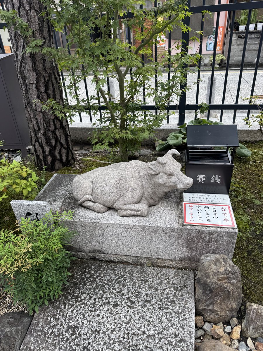 snaka110's tweet photo. おはようございます。西国33所特任中先達の旅は札所17番六波羅蜜寺にお参りしました🙏9/17参拝  ここは写真のポイント少ないからまた同じ🙇 納経所から帰る時パチパチ👏と音 若い女性が2人。言おうとしたら隣の老人が優しく説明🙏あの子らはこれからお参りが楽しくなる👍
#西国巡礼 #六波羅蜜寺 https://t.co/FdB57IMQ3c