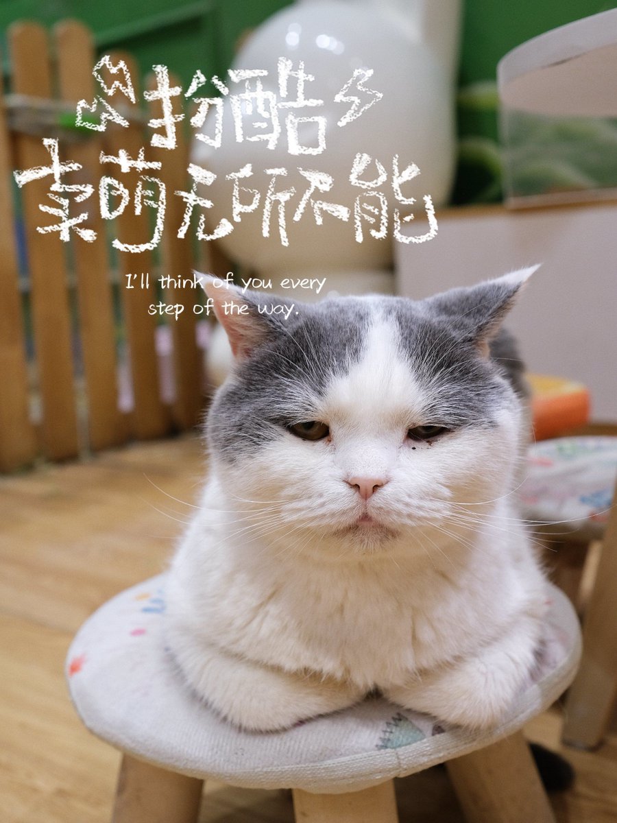 liahernadezreye's tweet photo. [晃姥凶]凶凶的晃一晃，可爱值直接拉满～， https://t.co/9Zc83YMfYr