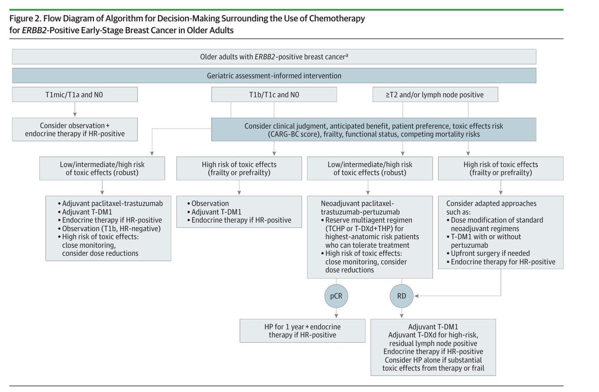 DFCI_BreastOnc's tweet photo. Don't miss this excellent @JAMAOnc review on systemic therapy considerations in older adults with early-stage breast cancer. 
👉https://t.co/Z2JgsBpWst
@drsarahsam @minasedrakmd @DrAllisonMags @nlinmd @DrRFreedman #ClaireSmith #gerionc  
#BreastCancer #olderadultswithcancer #TNBC https://t.co/Y5Mrdr9B7F