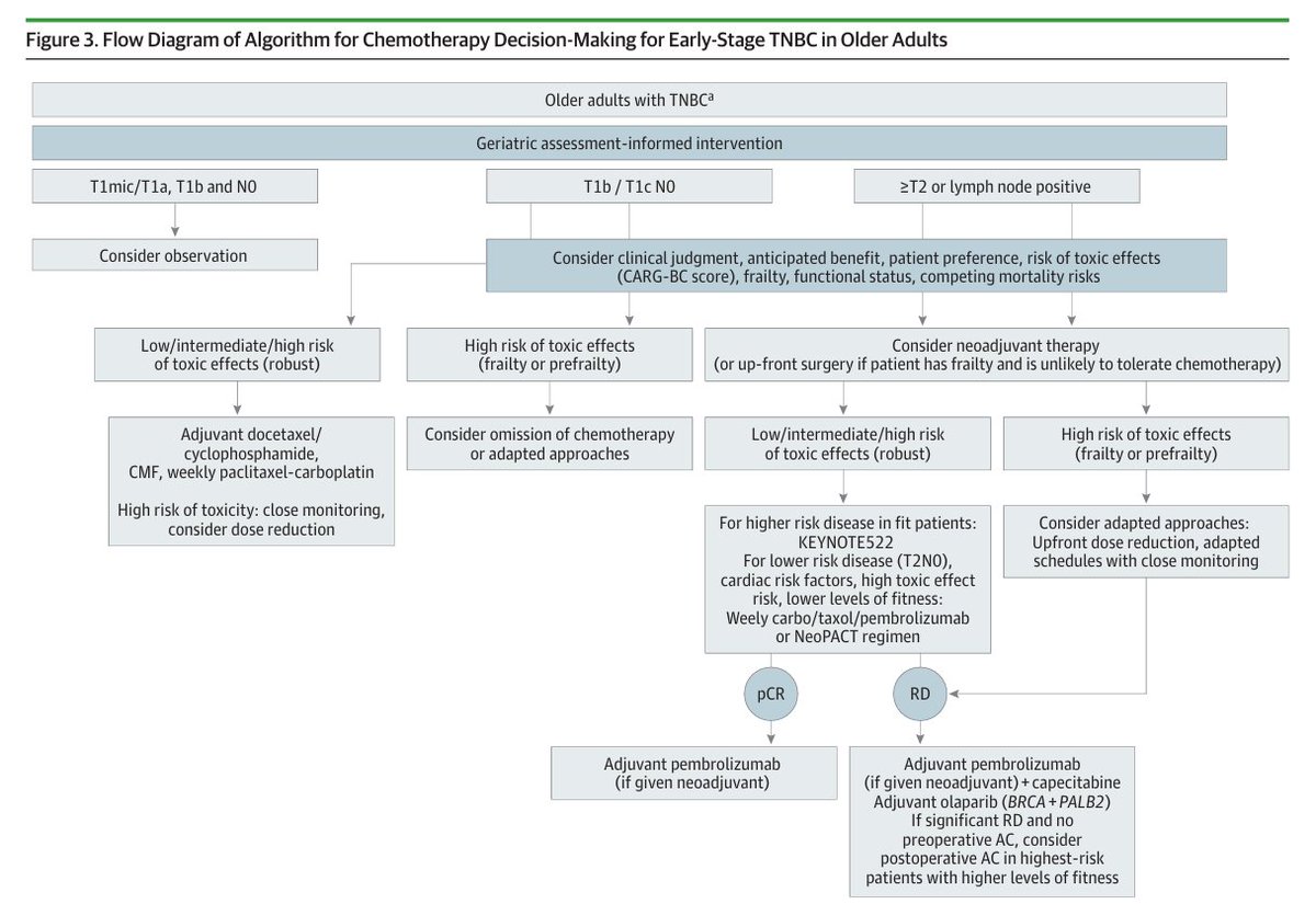 DFCI_BreastOnc's tweet photo. Don't miss this excellent @JAMAOnc review on systemic therapy considerations in older adults with early-stage breast cancer. 
👉https://t.co/Z2JgsBpWst
@drsarahsam @minasedrakmd @DrAllisonMags @nlinmd @DrRFreedman #ClaireSmith #gerionc  
#BreastCancer #olderadultswithcancer #TNBC https://t.co/Y5Mrdr9B7F