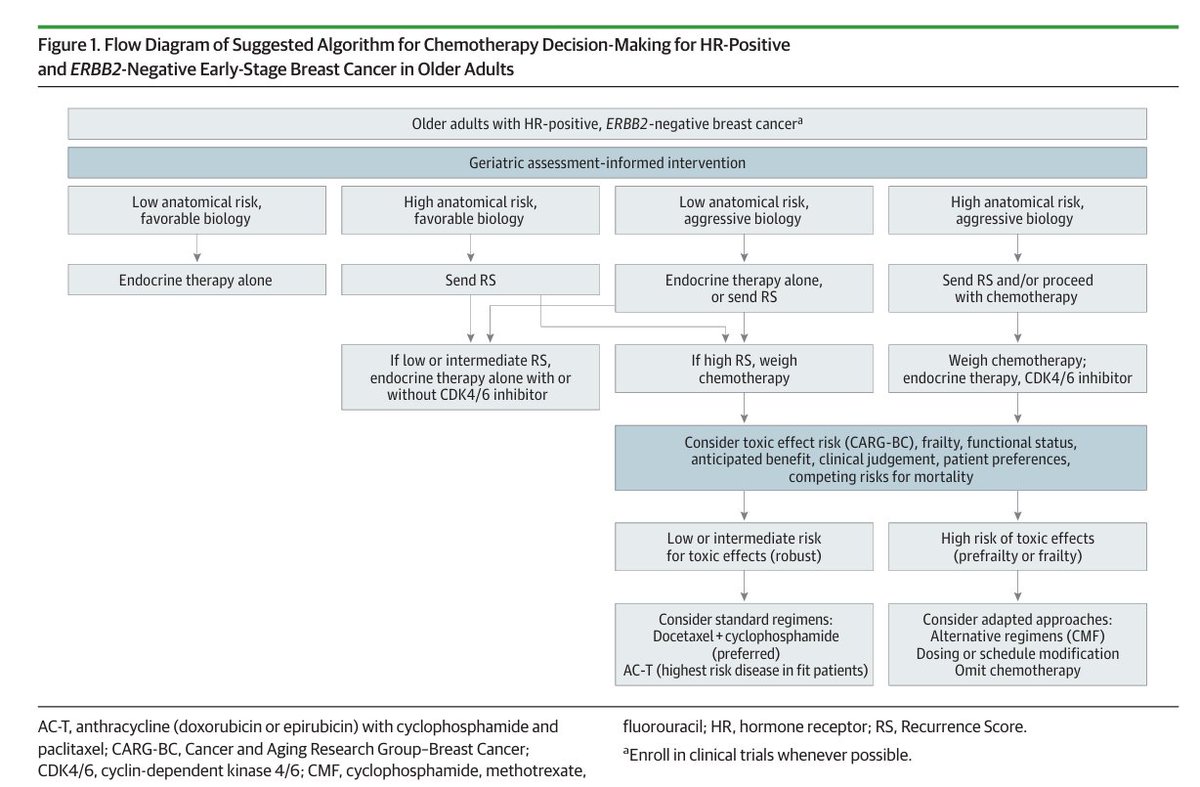 DFCI_BreastOnc's tweet photo. Don't miss this excellent @JAMAOnc review on systemic therapy considerations in older adults with early-stage breast cancer. 
👉https://t.co/Z2JgsBpWst
@drsarahsam @minasedrakmd @DrAllisonMags @nlinmd @DrRFreedman #ClaireSmith #gerionc  
#BreastCancer #olderadultswithcancer #TNBC https://t.co/Y5Mrdr9B7F
