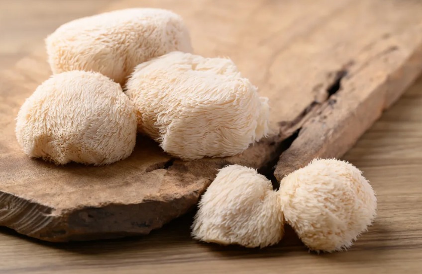 LesFlanneryuj's tweet photo. Lion’s Mane is everywhere—but does it really improve memory and focus? As demand for this natural supplement surges, research remains limited. Here’s what the science says about its benefits and whether the hype goes too far. https://t.co/ca7aCU6RTq
