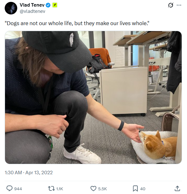moneydog_token's tweet photo. @RobinhoodCrypto What about the gud boi? https://t.co/IcZtWDBVJc