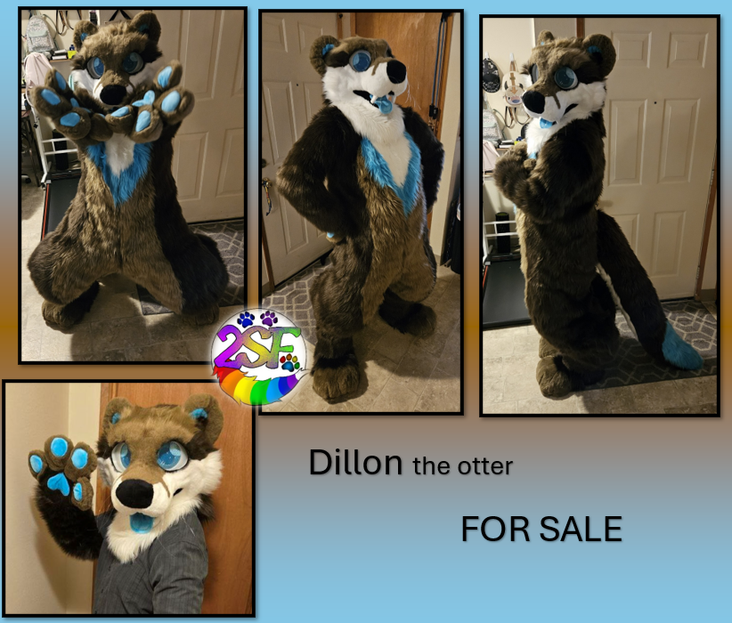 2stupidfurs's tweet photo. Looking for homes! https://t.co/SNB2cx85RW