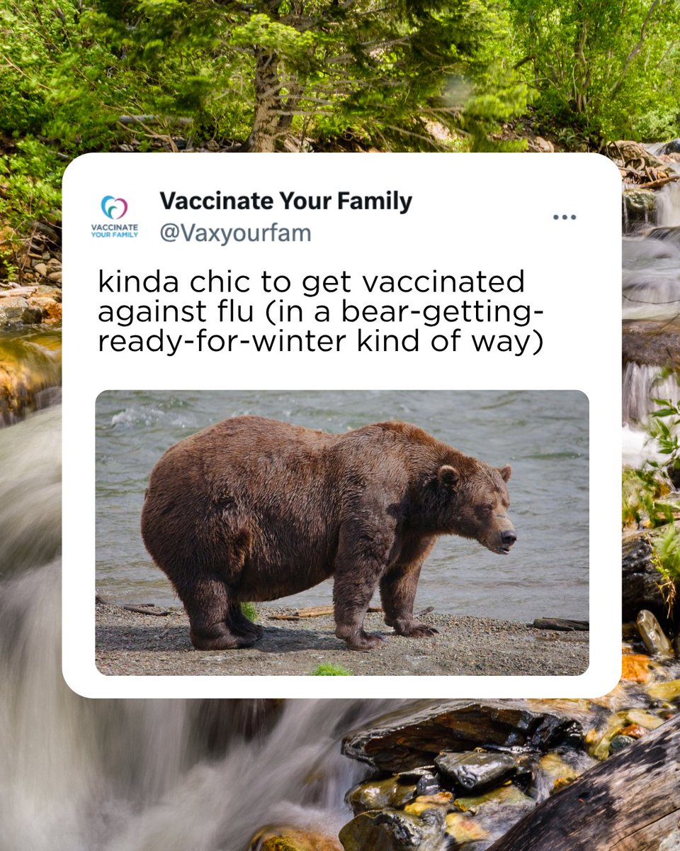 Vaxyourfam's tweet photo. The bears are getting ready for winter, so let's get ready too. Updated flu and COVID-19 vaccines are available now 🐻

#ProtectPreparePrevent #FatBearWeek https://t.co/AvARoegszN