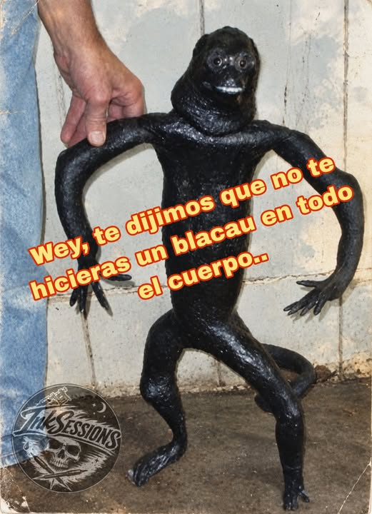 ramonnecaxa's tweet photo. jajajaj segun el le dara estatica
;D https://t.co/zUoE2hmYl9